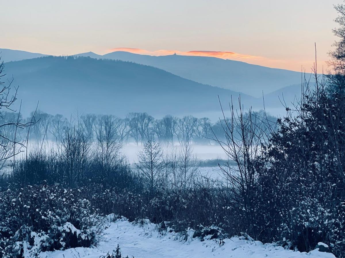 Oh Deer! Apartment Jelenia Gora Bagian luar foto