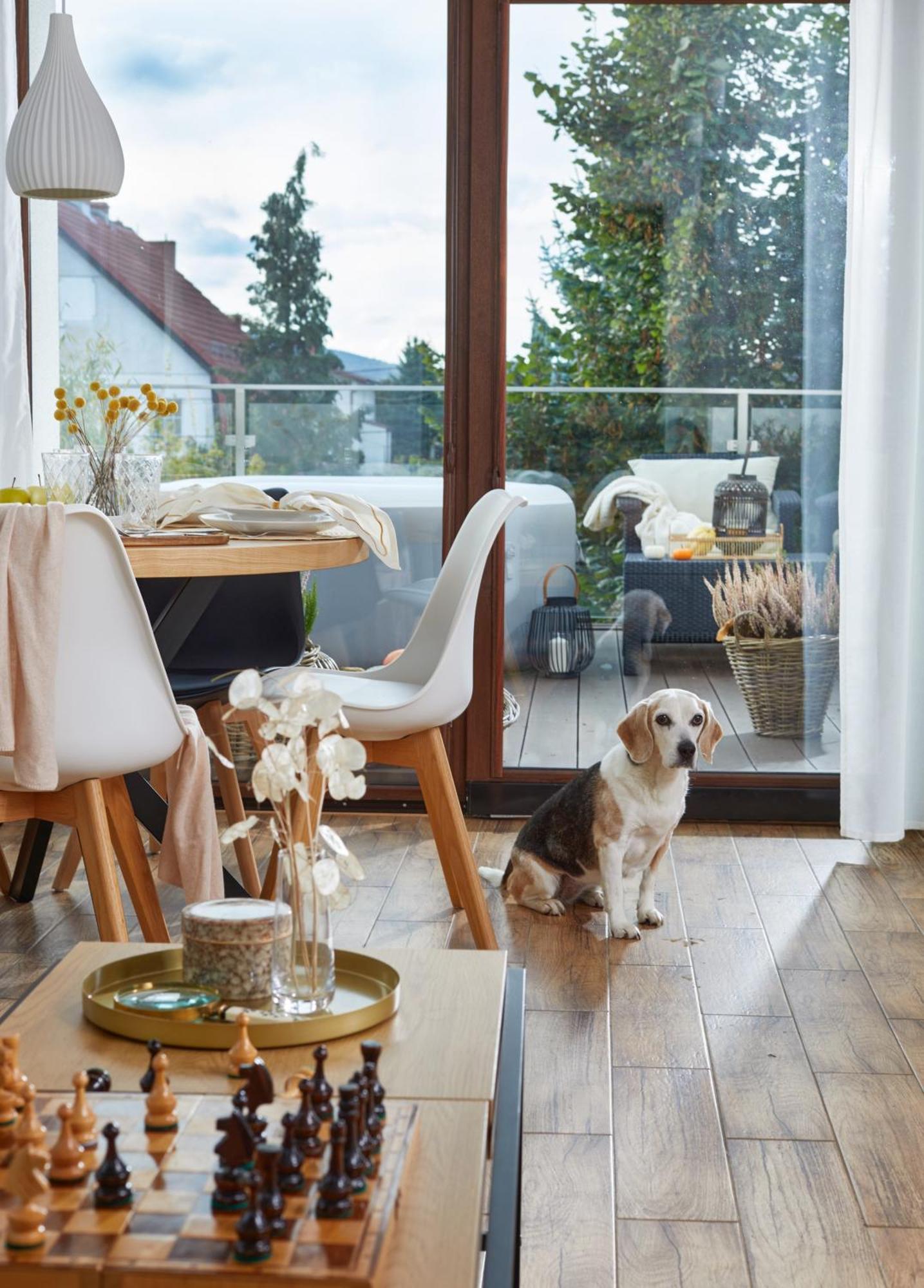Oh Deer! Apartment Jelenia Gora Bagian luar foto